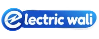 Electric Wali